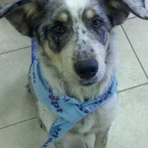 Meet your Posher, Kevin